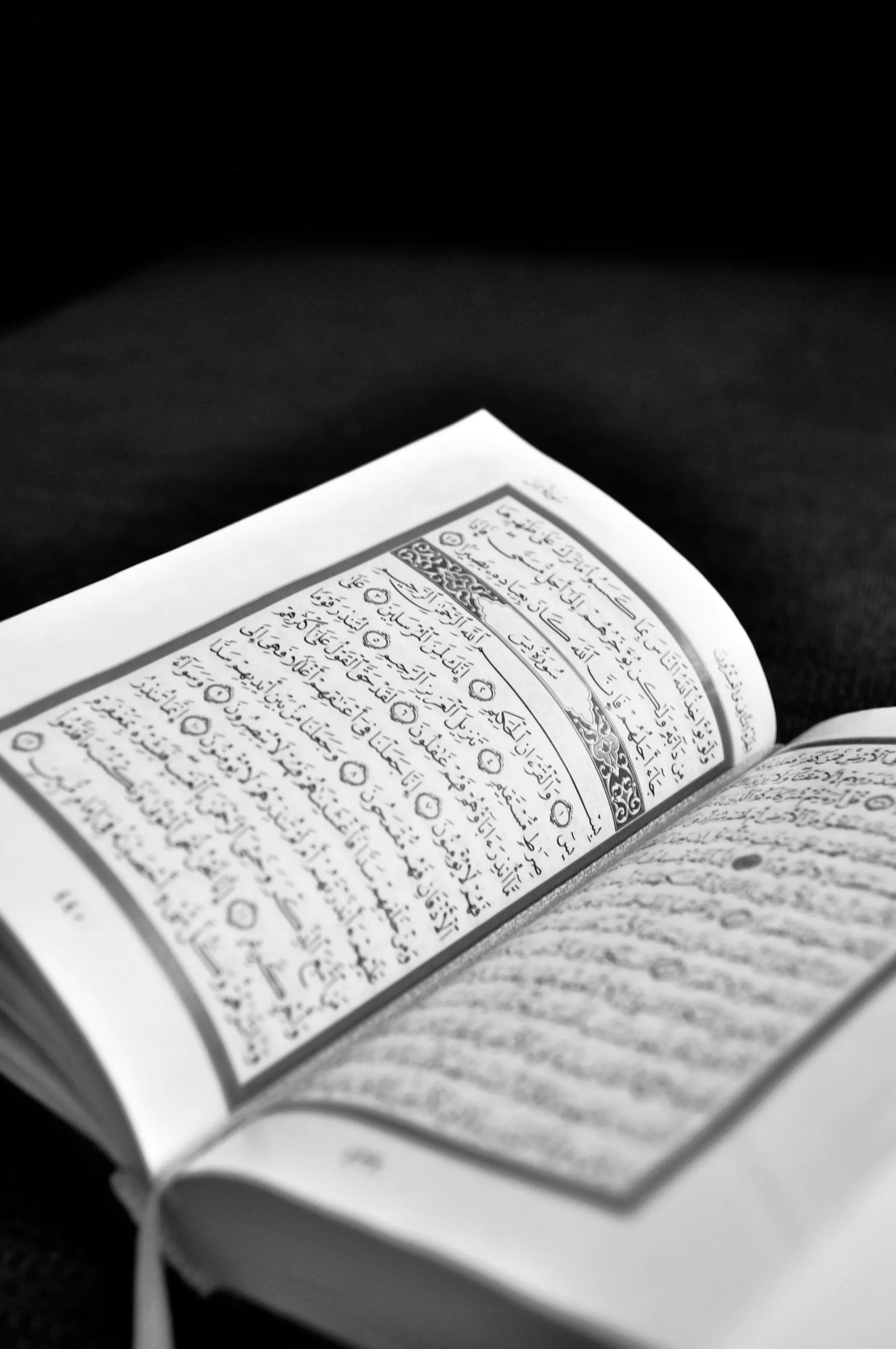 Open Quran pages